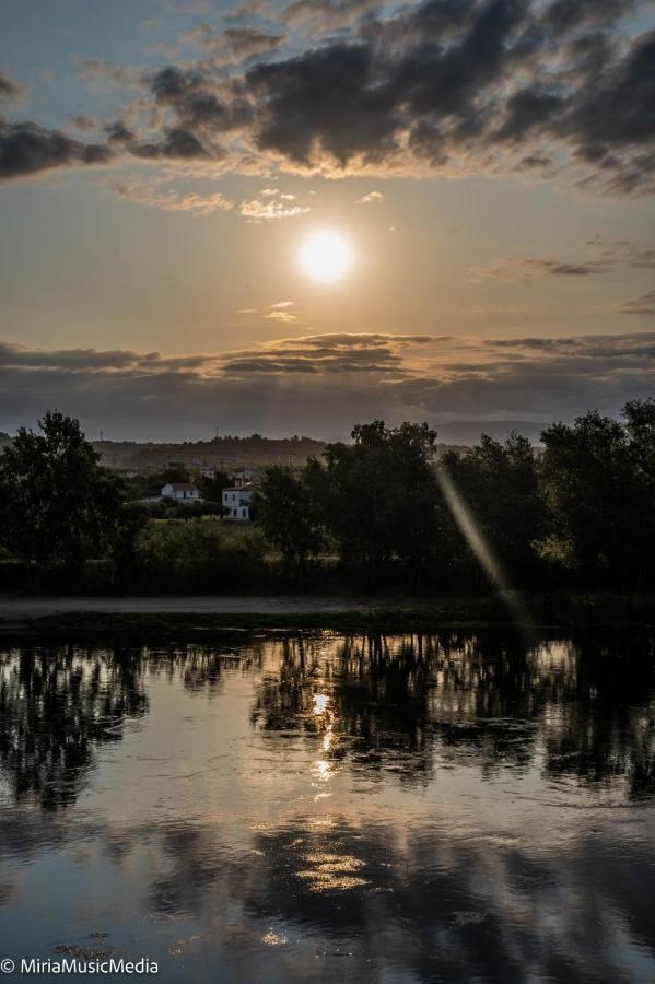 River Ebro Apartments Mora d'Ebre Exteriör bild